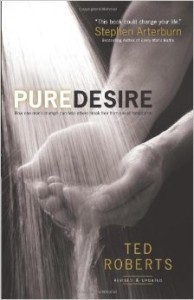 Pure Desire book cover