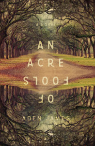 An Acre of Fools Book Cover