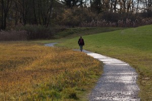 Man walking on path thinking about his Sexual Addiction