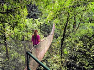 rope-bridge-417184_640