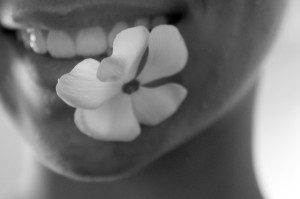 flower-122708_640