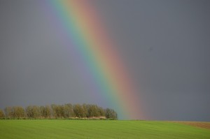 rainbow-110953_640