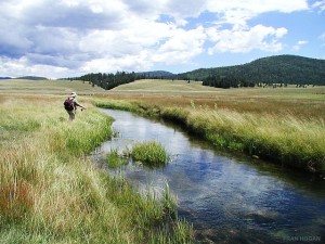 Man fishing and fighting a Dual Diagnosis