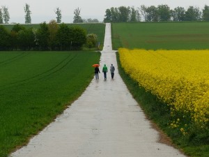 People walking on path with others from Support Groups