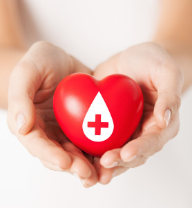 female hands holding red heart with donor sign