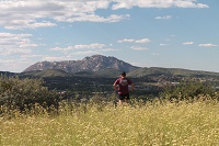 Man in Field in Front of Mountain thinking about Prescription Medications