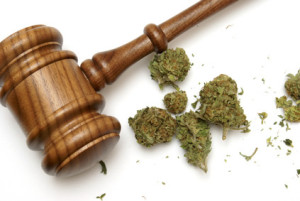 Gavel with cannabis