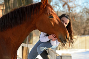 horse therapy