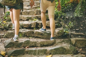 Tourists going up the stone stairs in the forest, rear view