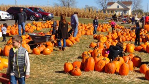 People in Recovery walking in a Pumpkin Patch