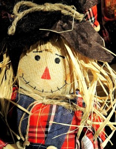 Thanksgiving Harvest Doll used in Recovery message