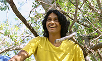 Low angle view of a teenage boy sitting in a tree