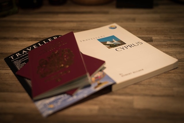 Passport Travel Journey Trip Vacation Document