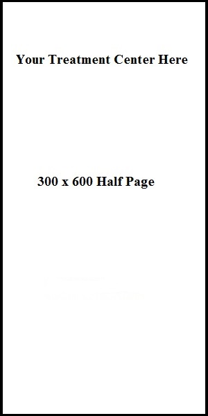 300x600 Half Page example