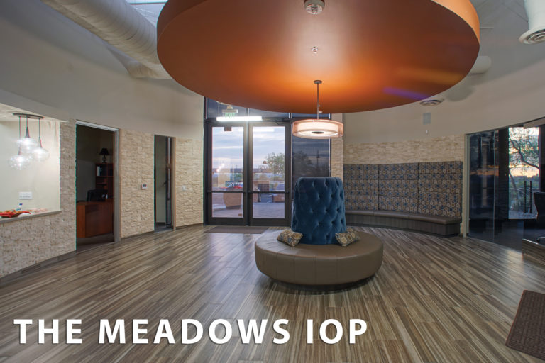 Meadows Behavioral Healthcare Addiction Hope