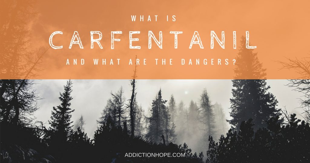 What Is Carfentanil - Addiction Hope