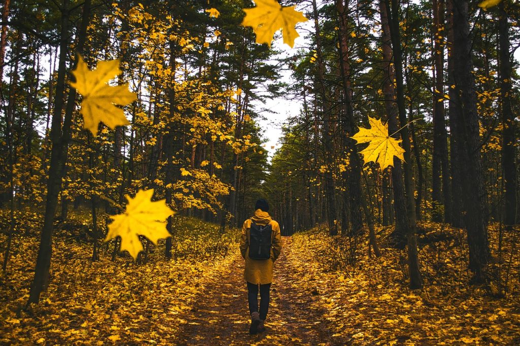 Walking in fall leaves