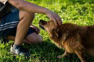 Child with dog