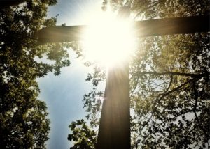 Cross in the sunshine