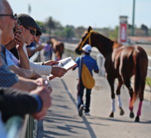 Gambling on horse racing