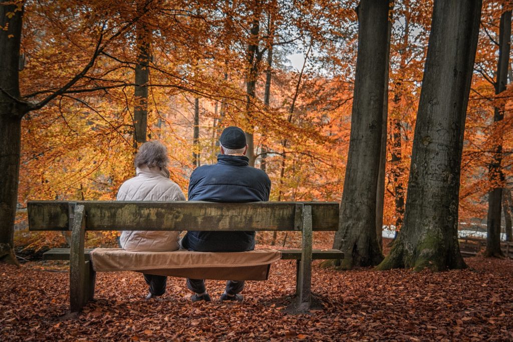 Couple in the fall