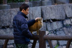 Man avoiding relapse with pet