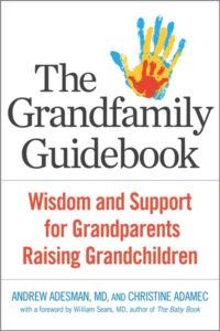 Grandfamily Guidebook Cover Image