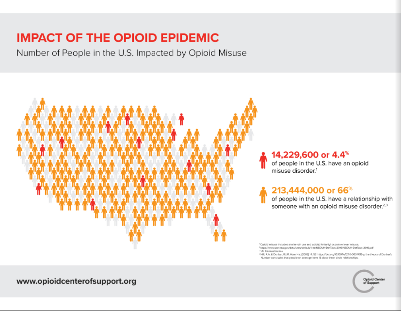 Opiod Epidemic Infographic - Image