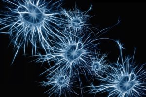 Brain Neurons in meth addiction