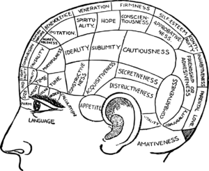 Conscious Brain after Marijuana Abuse