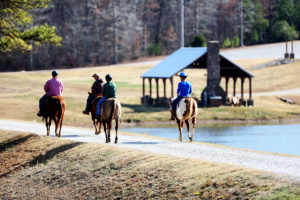 Oxford Equestrian